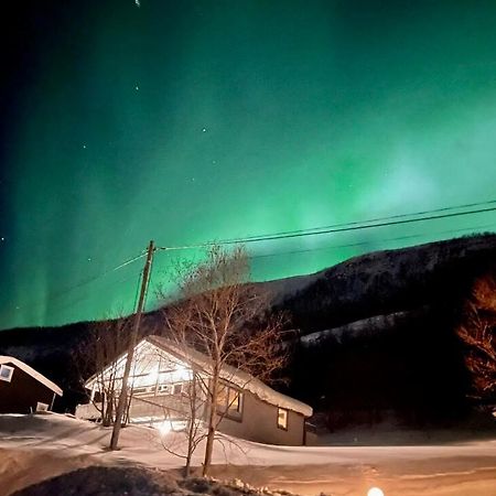 Hundbergan Apartment-Free Parking-15 Min From Tromso Tromsdalen Eksteriør bilde