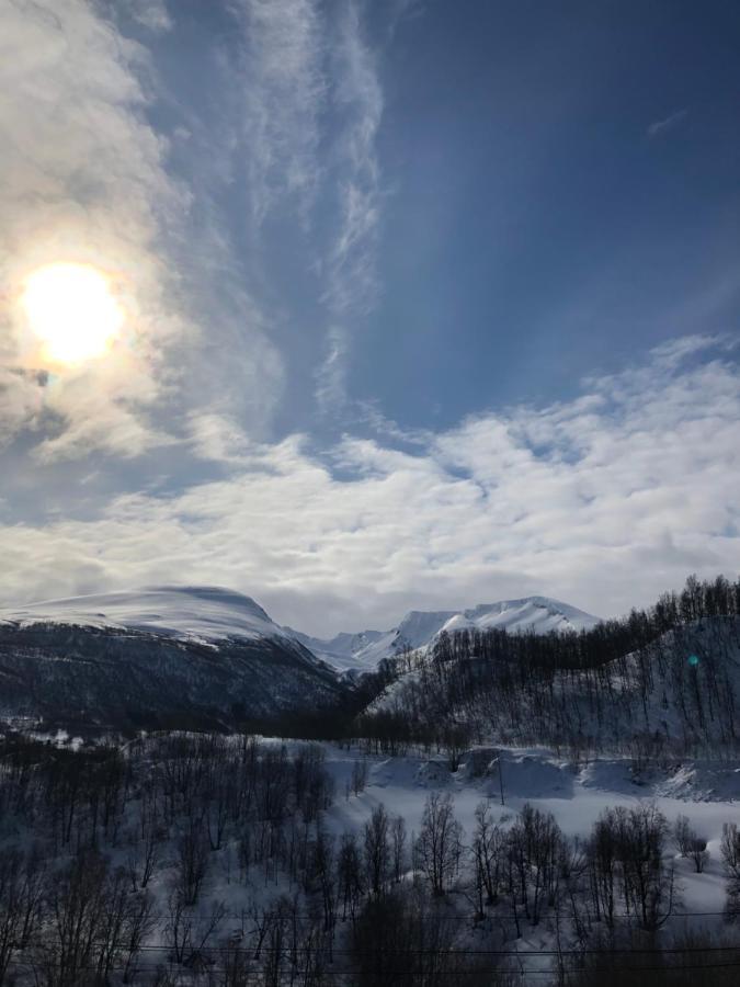 Hundbergan Apartment-Free Parking-15 Min From Tromso Tromsdalen Eksteriør bilde