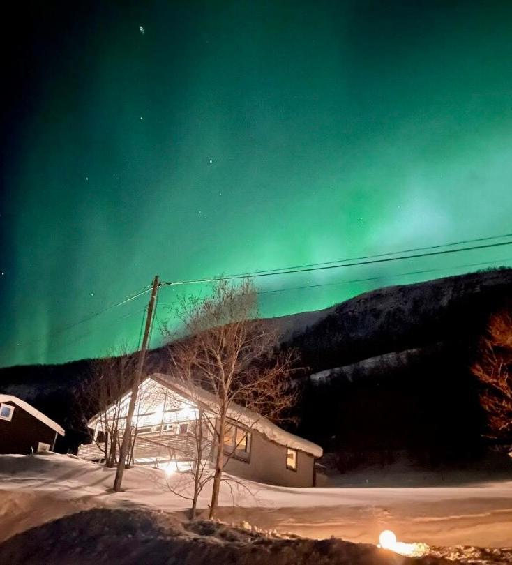 Hundbergan Apartment-Free Parking-15 Min From Tromso Tromsdalen Eksteriør bilde